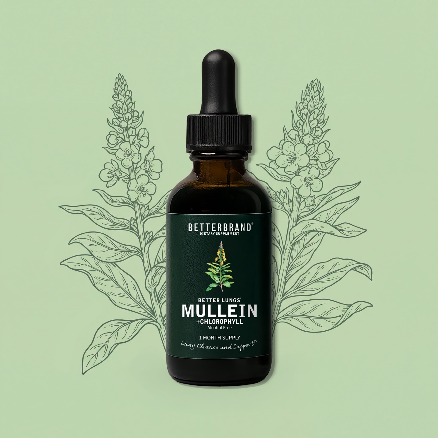 BetterLungs Mullein and Chlorophyll tincture bottle